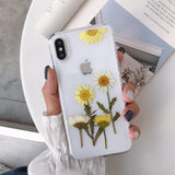 Real Dried Daisy Flower Four-leaved Clover Phone Case Back Cover for iPhone XS Max/XR/XS/X/8 Plus/8/7 Plus/7/6s Plus/6s/6 Plus/6 - halloladies